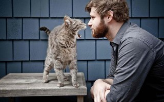 Болезни и недуги у кошек: симптомы и правильное лечение