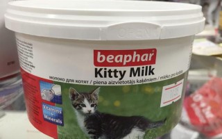Сколько кошка кормит котят молоком