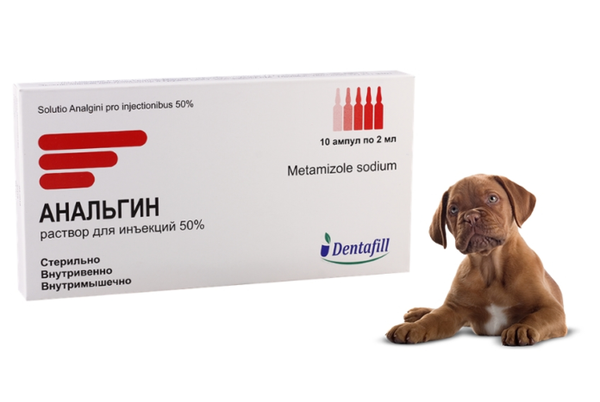 Можно давать анальгин собакам. Обезболивающие препараты для собак в уколах. Обезболивающие препараты для собак при травмах. Обезболивающие таблетки для собак. Обезболивающие инъекции для собак.
