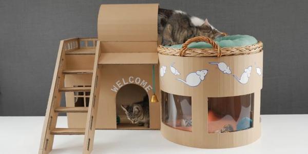 Как сделать двухэтажный домик для кошки из коробок своими руками