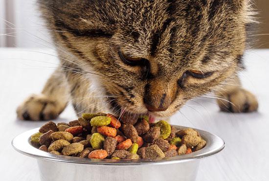Корм для кошек склонных к ожирению
