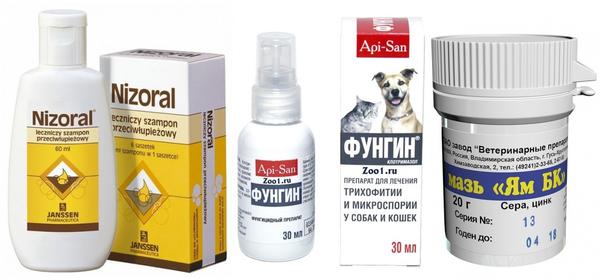 Препараты для лечения стригущего лишая у собак